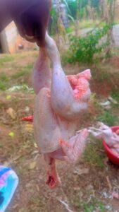 Entrepreneurs Chrétiens